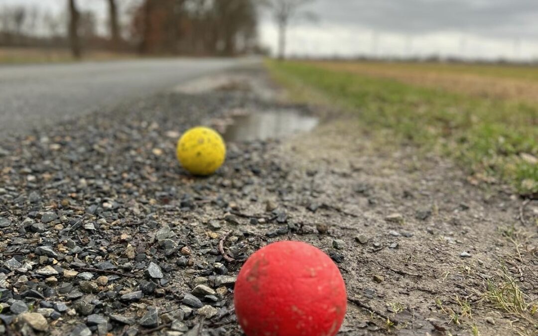 Boßelkugel ersetzt Plastikball!
